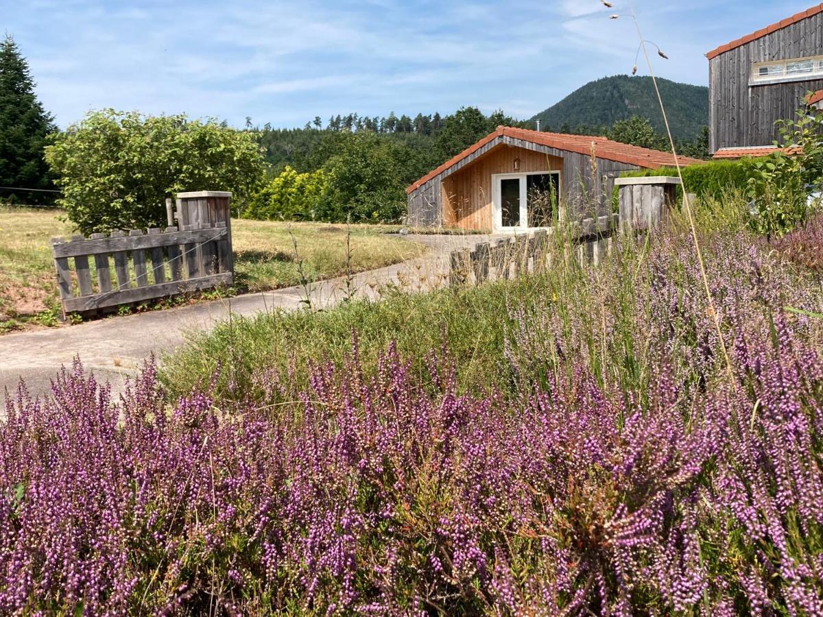 Le Chalet Dans La Nature Saulcy-sur-Meurthe Exteriör bild